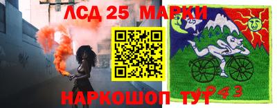 apvp Новоалтайск