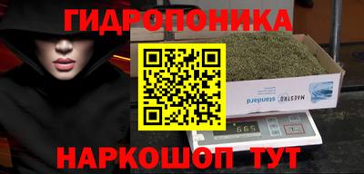 apvp Новоалтайск
