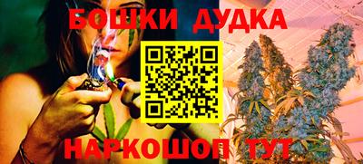 apvp Новоалтайск