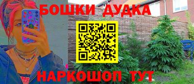 гидра Новоалександровск