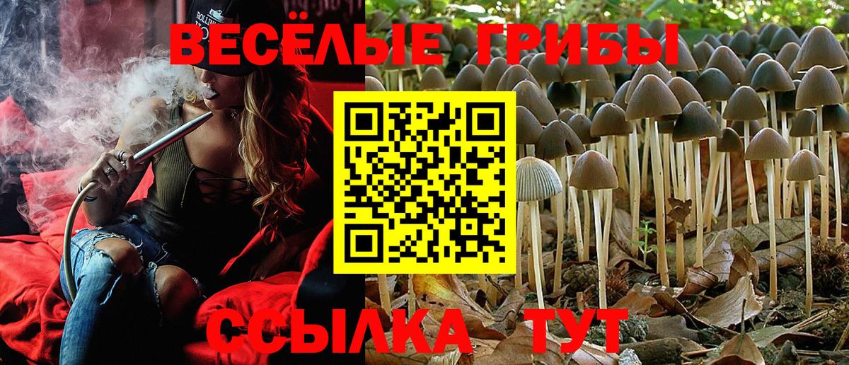 Владимир  Псилоцибиновые грибы MAGIC MUSHROOMS  Вход с VPN 
